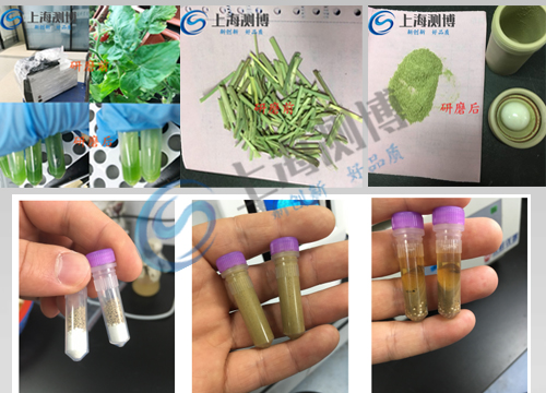 CBFSTPRP-64 實驗案例展示圖